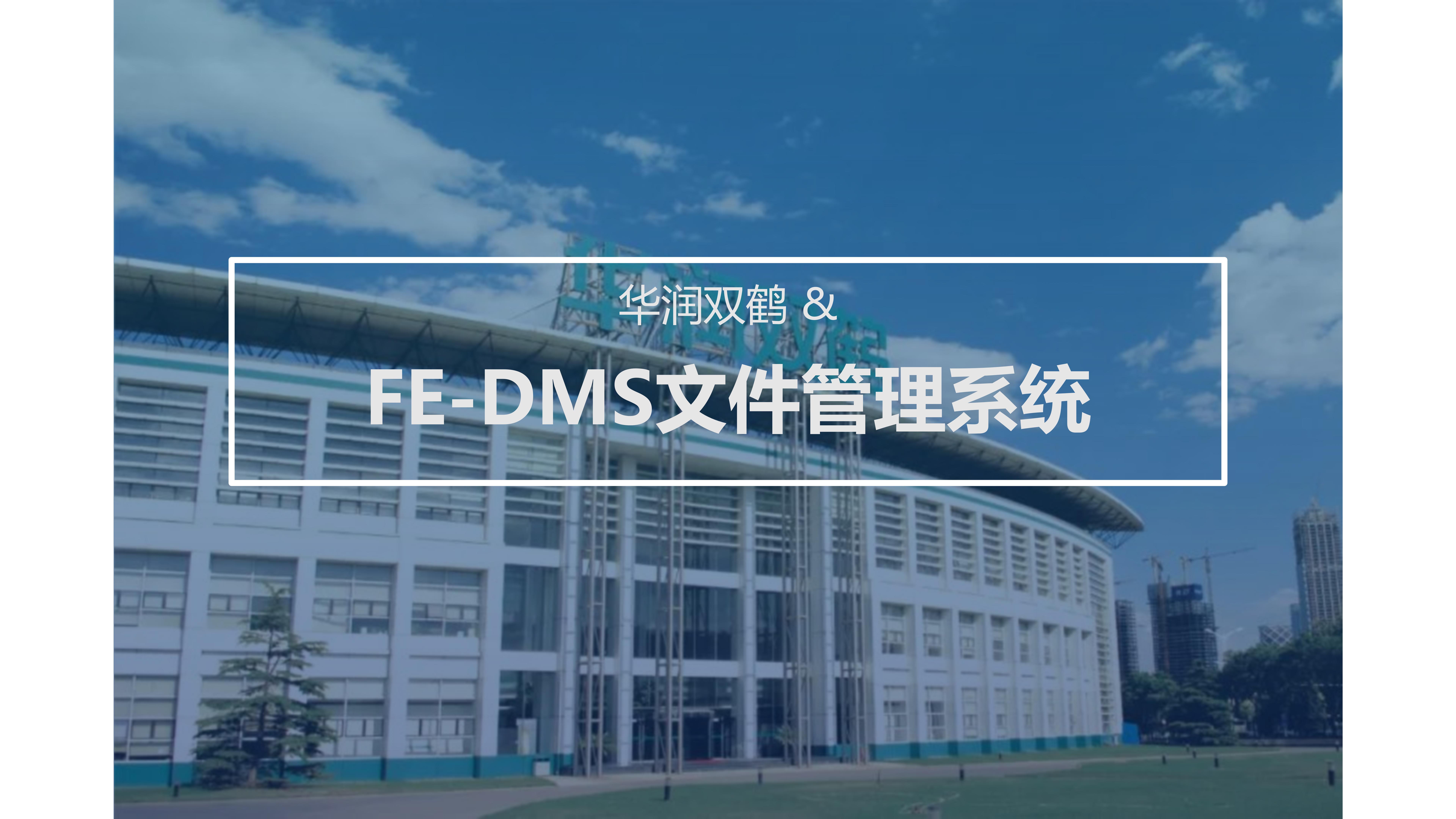 华润双鹤&FE-DMS文件管理系统