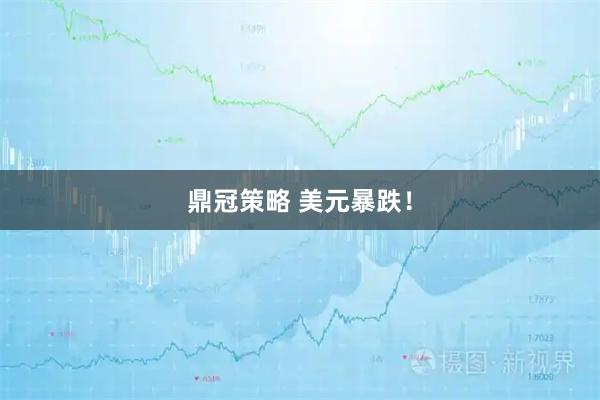 鼎冠策略 美元暴跌！